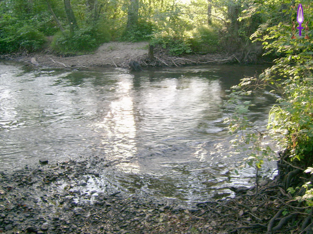 Album Magique d'Isapierre, Episode No 22 : Les quatre Gardiennes de la Versoix, très présentes et très actives...