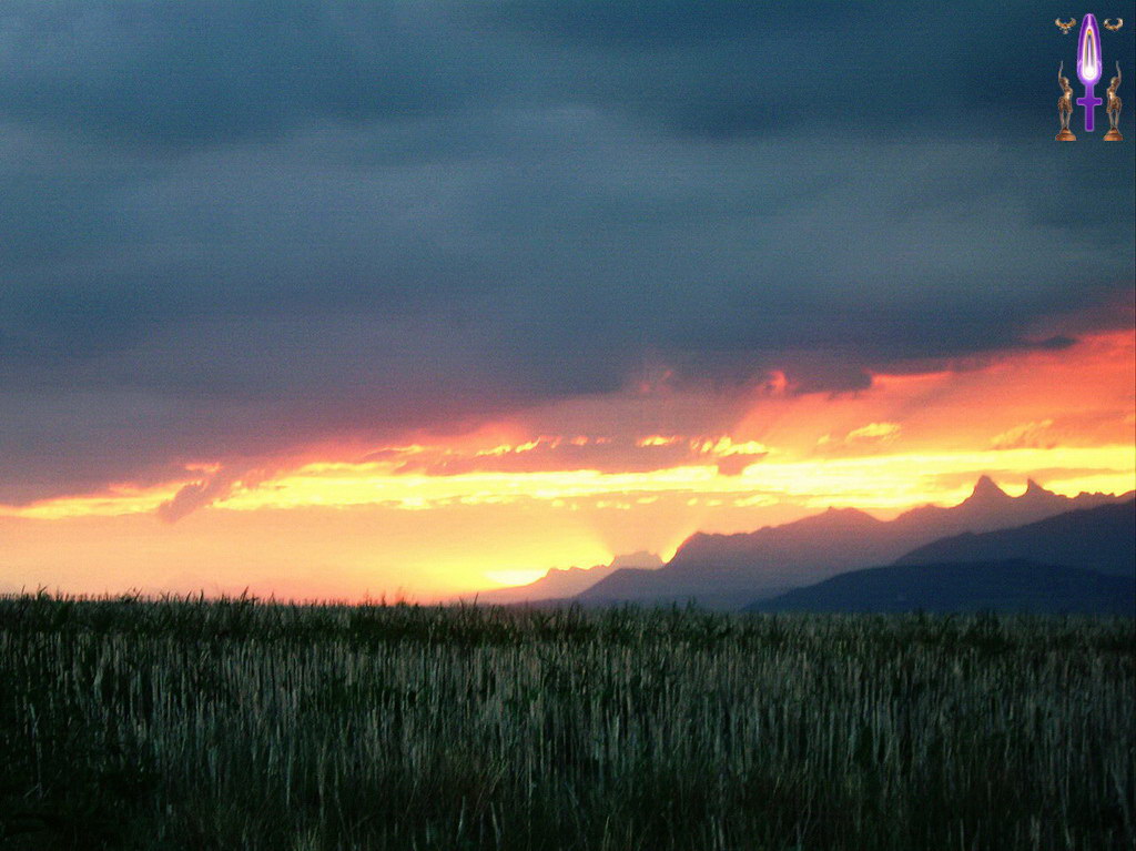 Album Magique d'Isapierre, Episode No 26 : Une éruption de Lumières pour m'inviter à m'extraire d'une Vie où je sommeille...