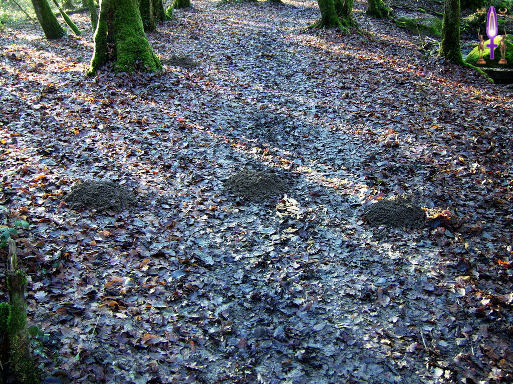 Album Magique d'Isapierre, Episode No 31 : Attention Isapierre, tu pénètres dans un Espace Sacré...