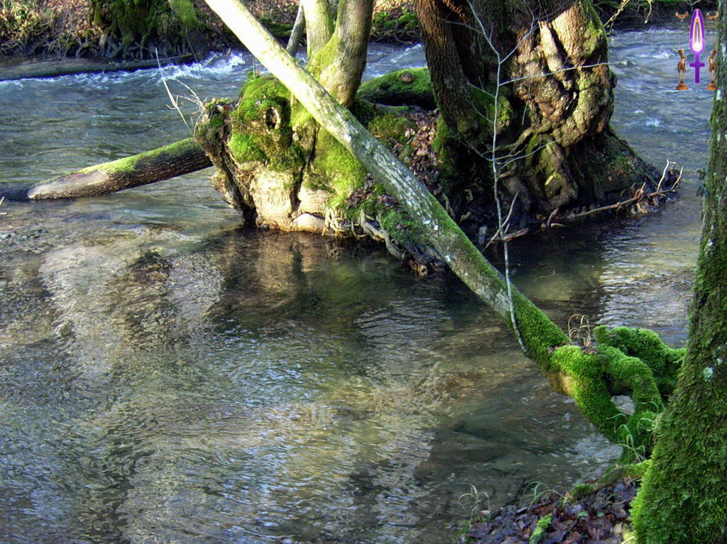 Album Magique d'Isapierre, Episode No 32 : L'Ange en méditation au fond de l'eau de la Versoix...
