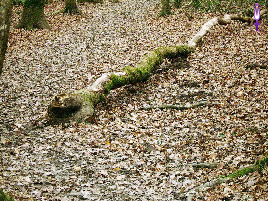 Album Magique d'Isapierre, Episode No 33 : Le Serpent, un symbole animé par des Energies Féminines très puissantes...