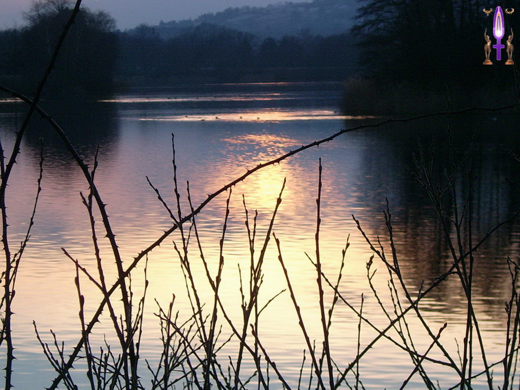 Album Magique d'Isapierre, Episode No 47 : Reflet du soleil couchant ou tendre Présence au lac de Divonne-les-Bains...