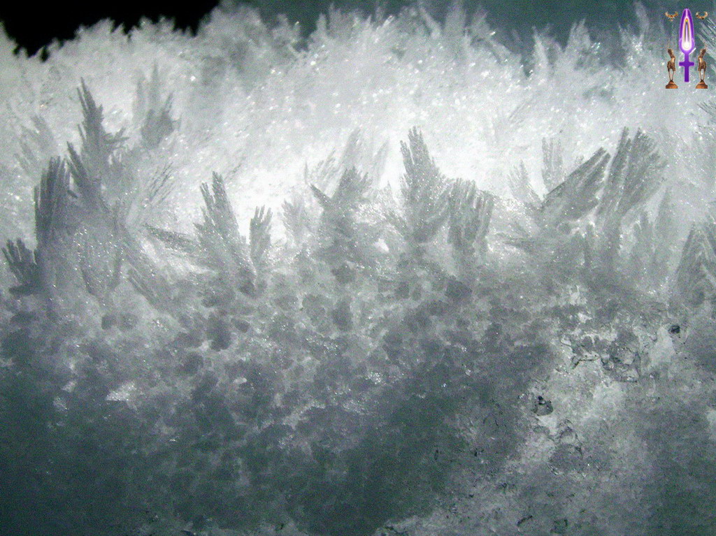 Album Magique d'Isapierre, Episode No 62 : Magnifique creuset que se partagent harmonieusement l'Ombre et la Lumière...