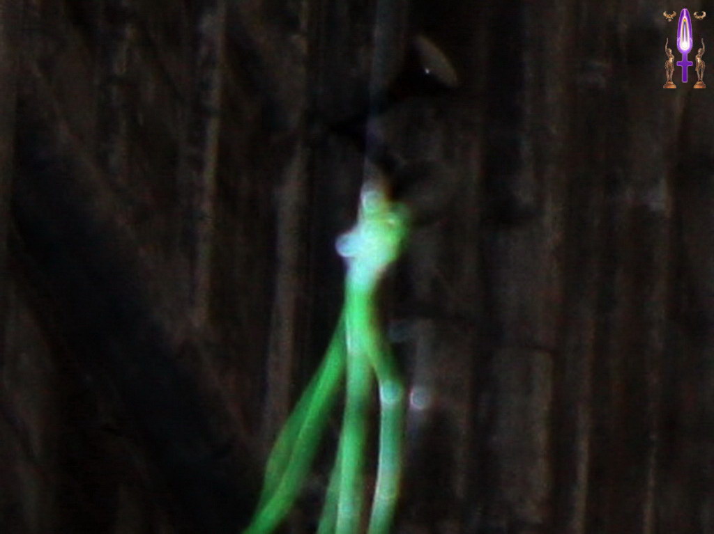 Album Magique d'Isapierre, Episode No 65 : Extraordinaire manifestation lumineuse de Marie portant l'enfant Jésus...