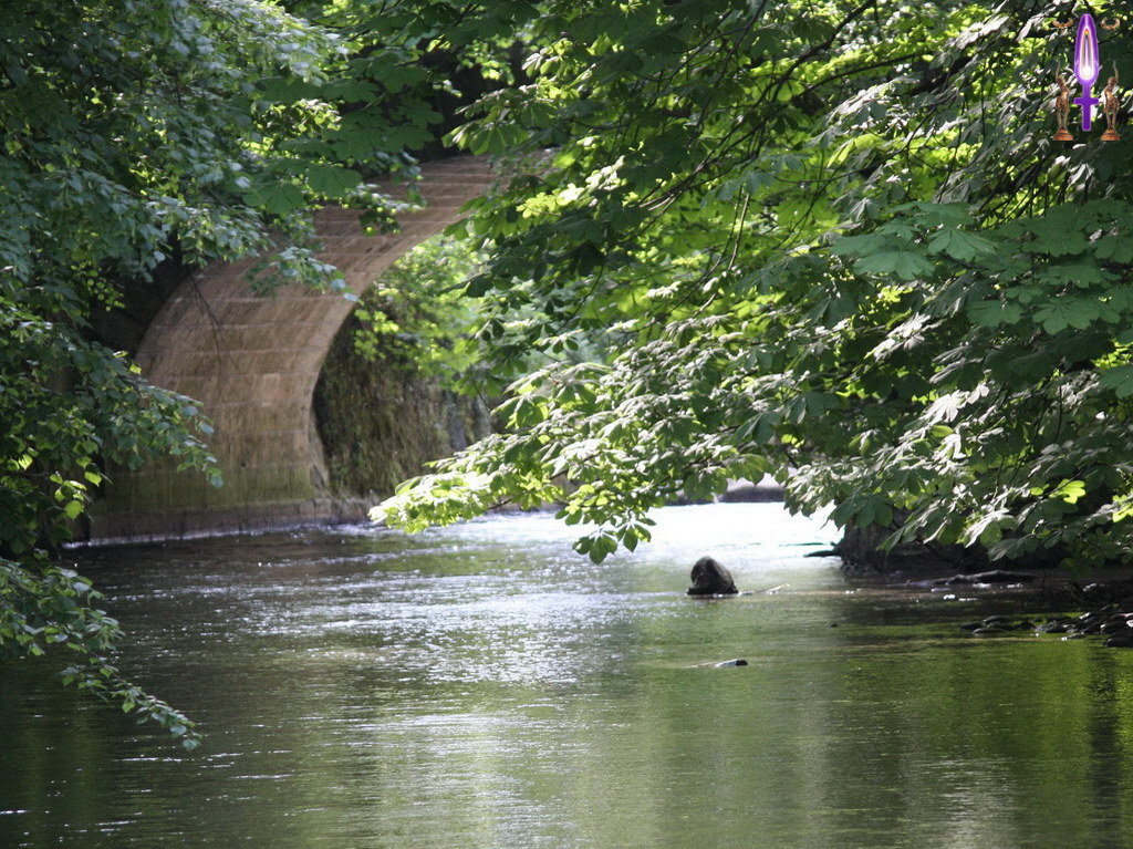 Album Magique d'Isapierre, Episode No 72 : Les Energies de la Vie qui nous animent, plus elles montent en puissances, plus elles deviennent limpides...