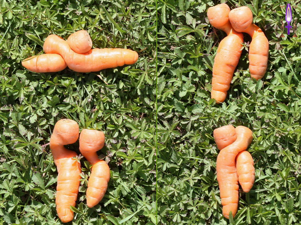 Album Magique d'Isapierre, Episode No 77 : Les Carottes Amoureuses, un couple bien plus que Nature...