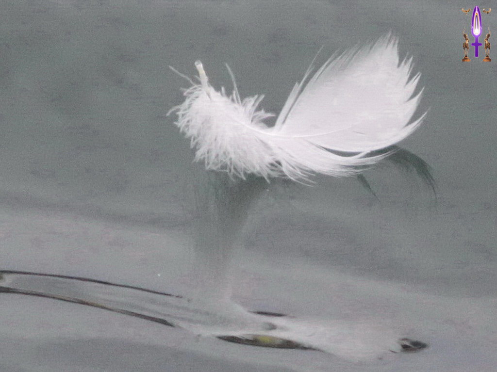 Album Magique d'Isapierre, Episode No 91 : Nous sommes toujours soutenus, jamais abandonnés à nous-mêmes si nous gardons Confiance...