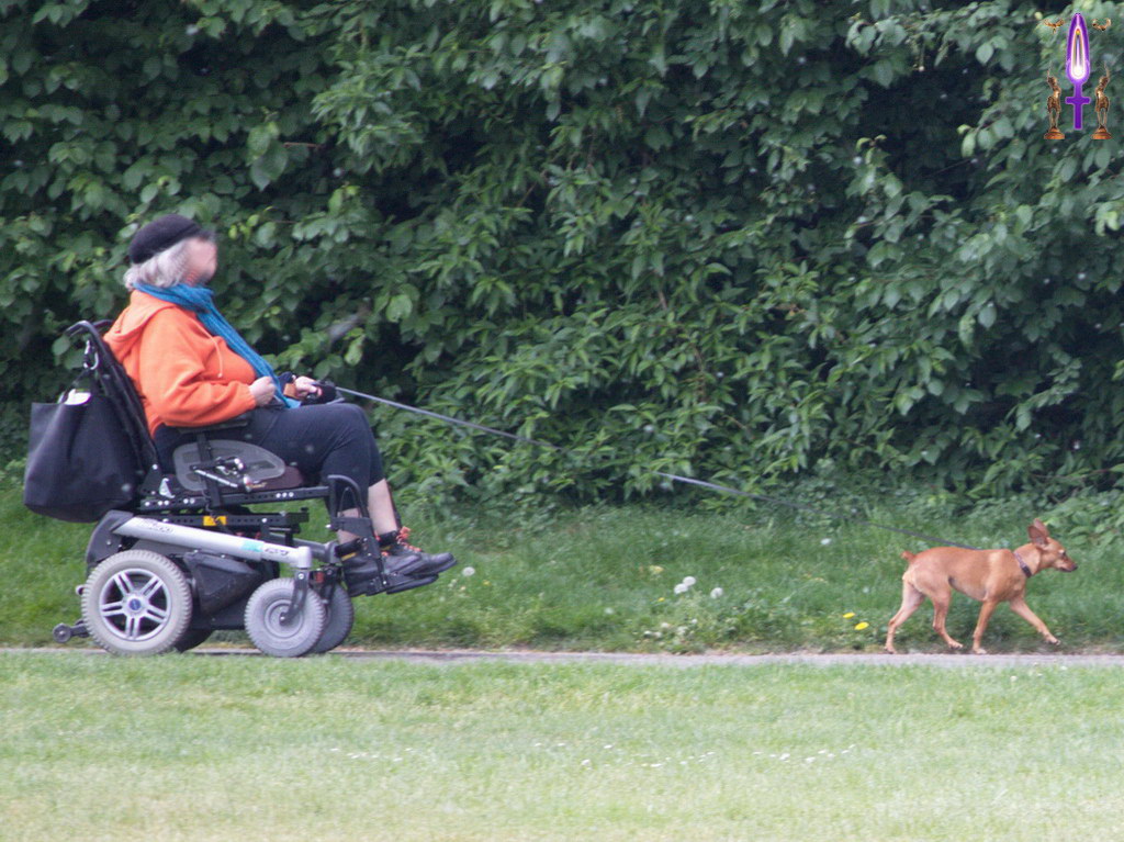 Album Magique d'Isapierre, Episode No 103 : Dans notre vie, il est très important d'être bien relié et en toute confiance...