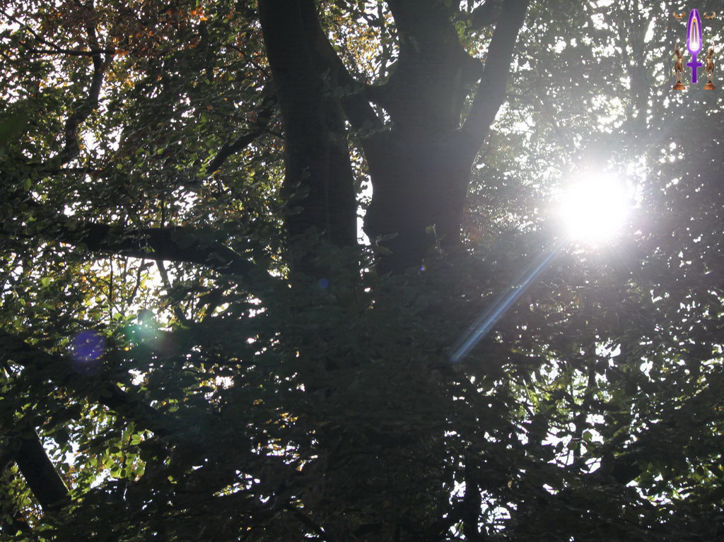 Episode No 112 : Sur le côté gauche de la photo, vous pouvez apercevoir deux Orbs ou plutôt deux Entités de Lumière, l'une bleue et l'autre verte, sans doute les deux Esprits qui animent Solitaire et Mastaire, deux Maîtres de la Nature qui tenaient à me signifier leurs présences actives en ce lieu... 