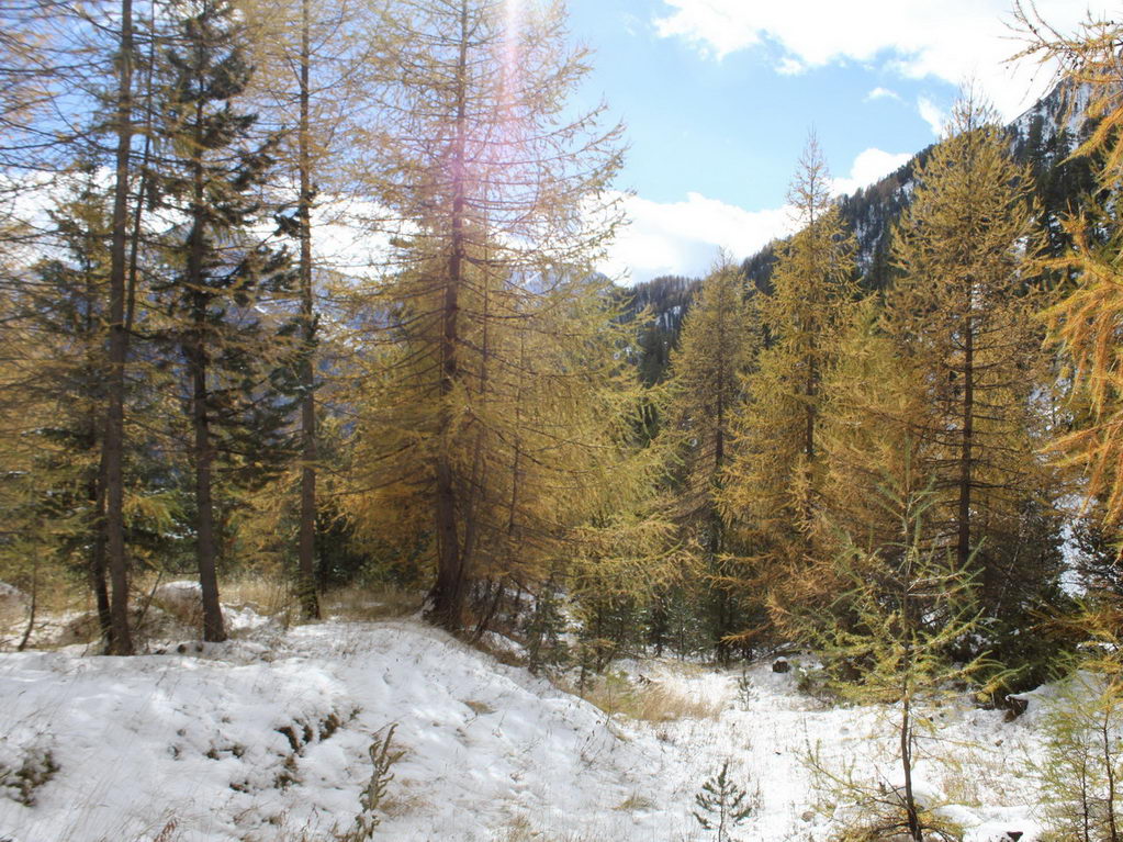 Cliquez sur la Photo pour quitter le Diaporama et Ouvrir la Photo correspondante...