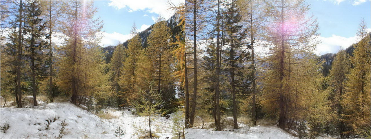 Episode No 113 A : Première photo d'une Flamme Violette... 