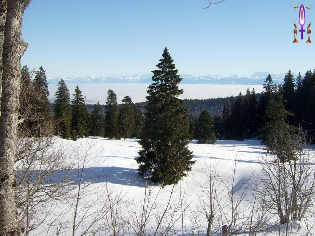 Croix de Lumière, Photo de la Série N No 1 