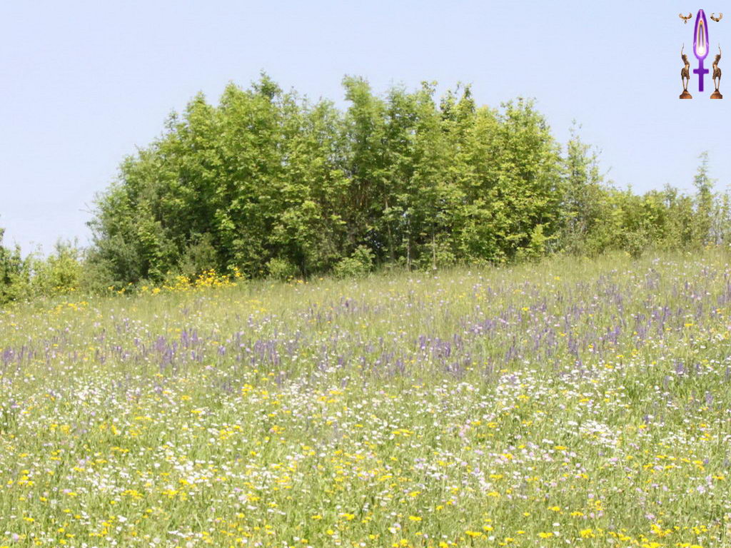 Croix de Lumière, Photo de la Série N No 4 