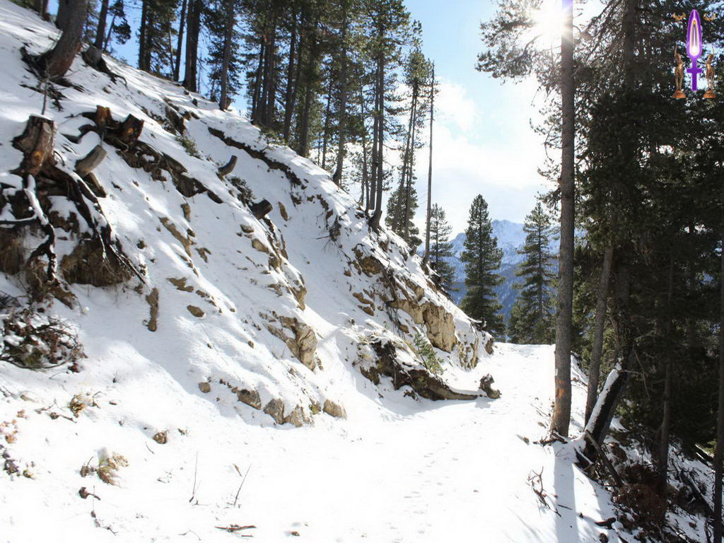 Croix de Lumière, Photo de la Série N No 8 