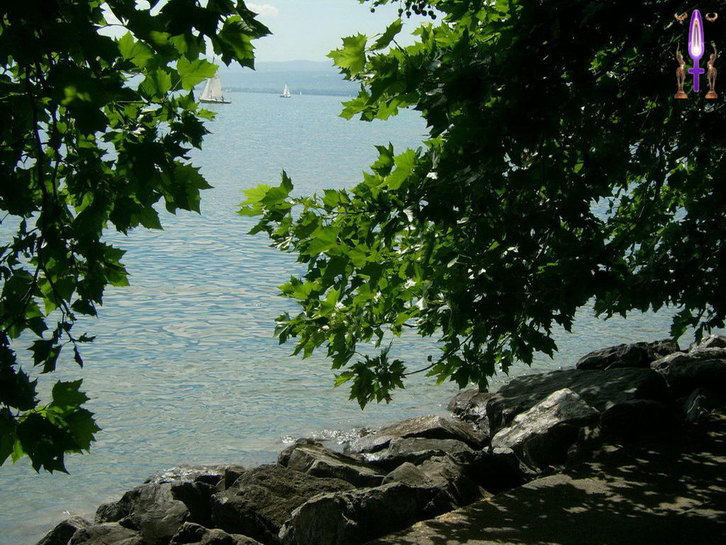 Croix de Lumière, Photo de la Série N No 17 