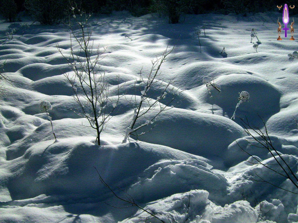 Croix de Lumière, Photo de la Série N No 21 
