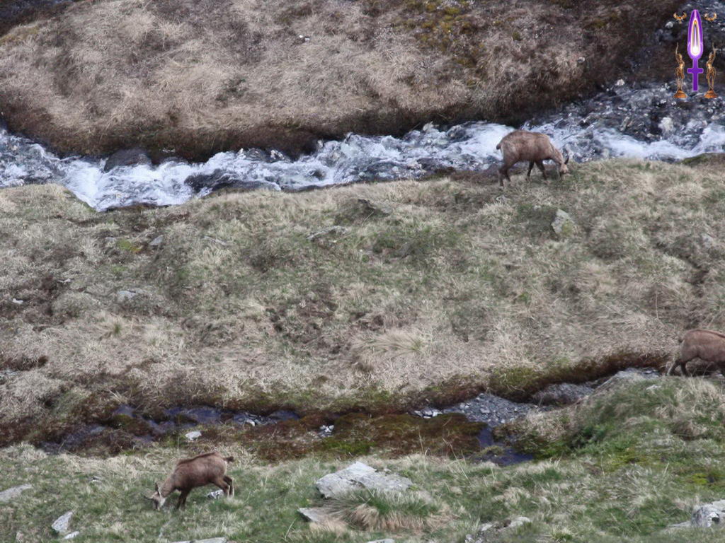Croix de Lumière, Photo de la Série N No 22 