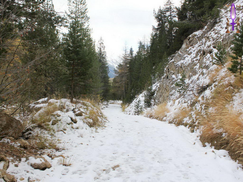 Croix de Lumière, Photo de la Série N No 29 