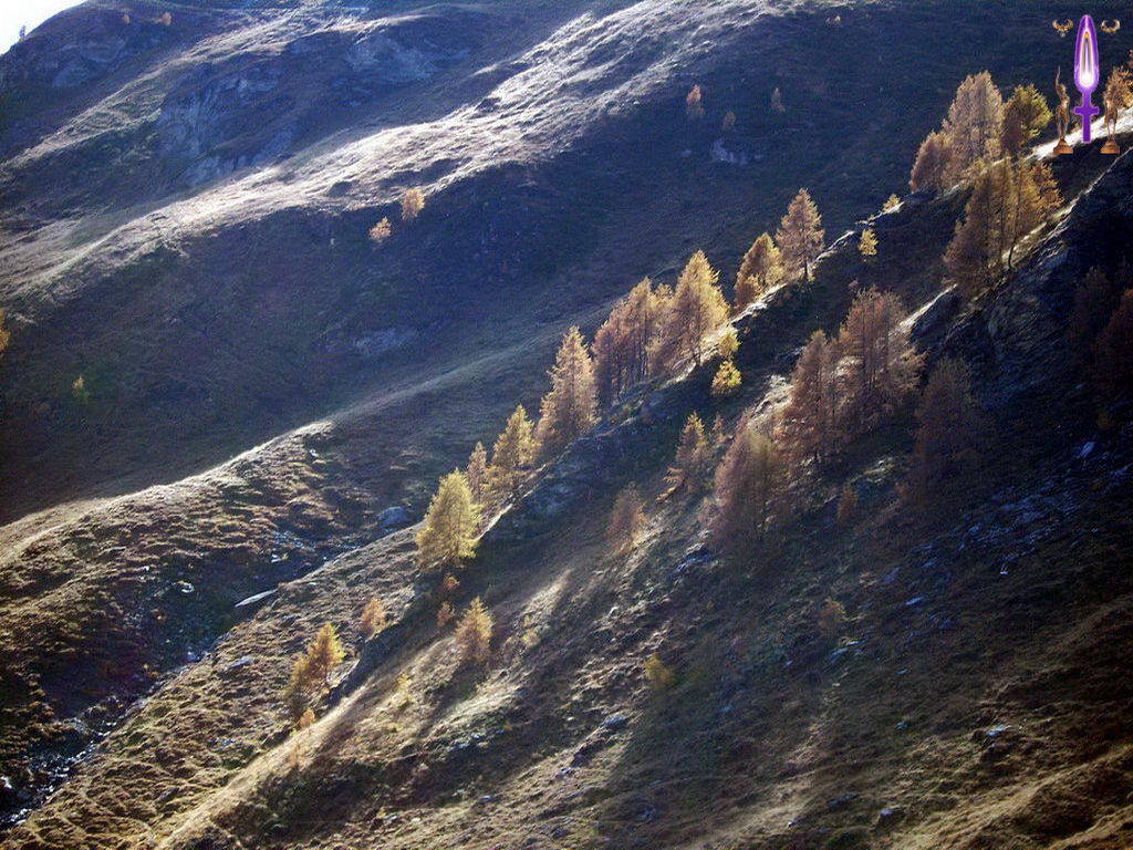 Croix de Lumière, Photo de la Série N No 38 