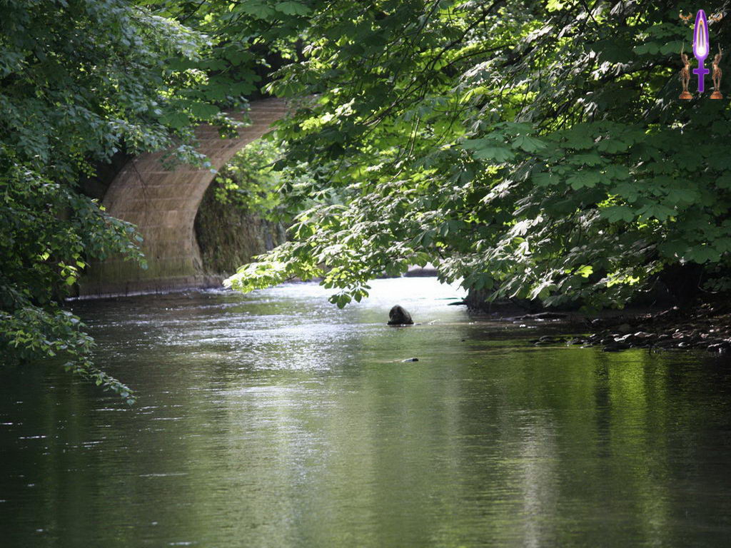 Croix de Lumière, Photo de la Série N No 41 