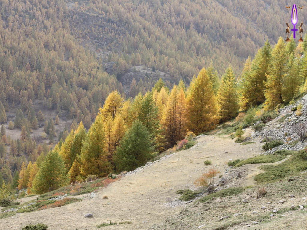 Croix de Lumière, Photo de la Série N No 42 