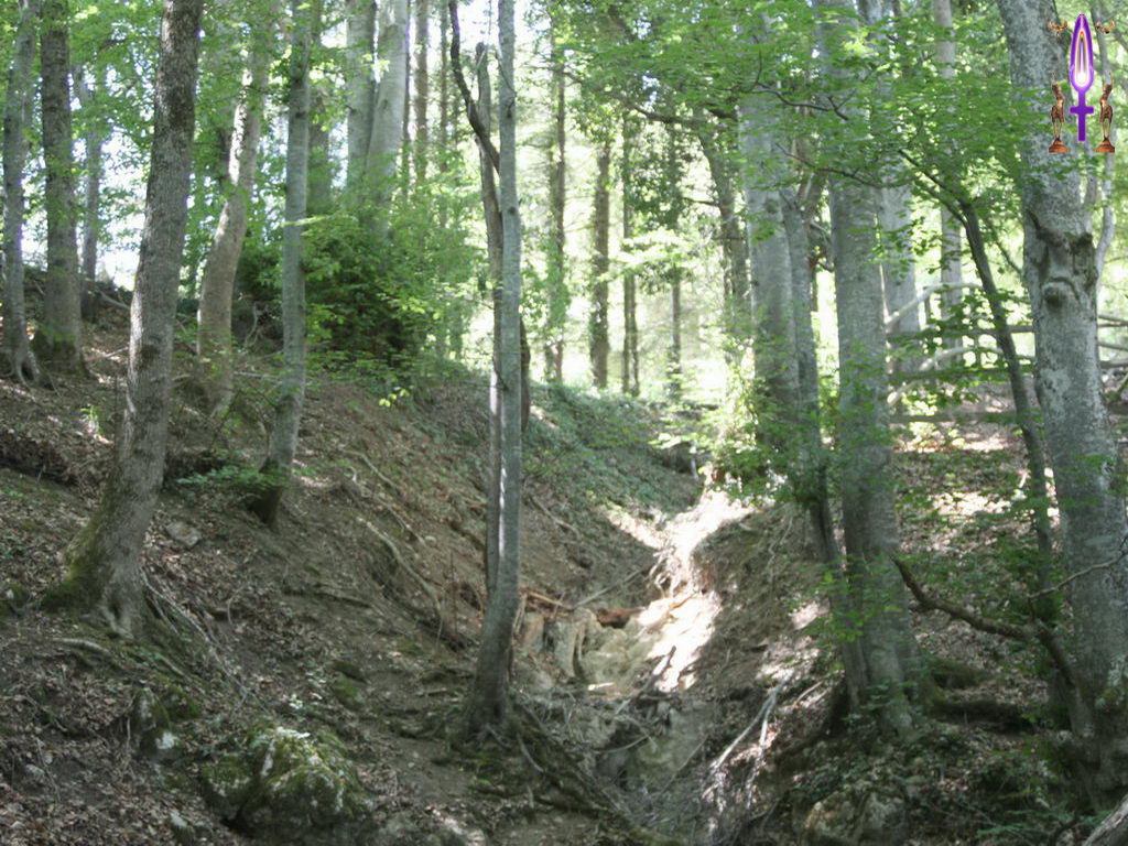 Croix de Lumière, Photo de la Série N No 57 