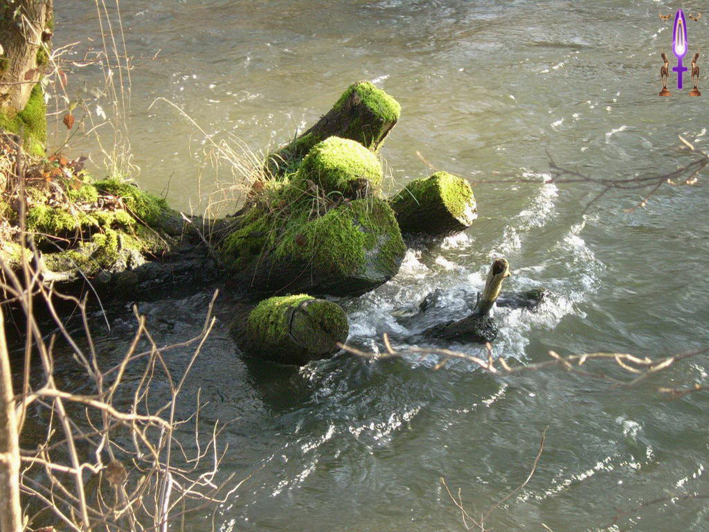 Croix de Lumière, Photo de la Série N No 58 