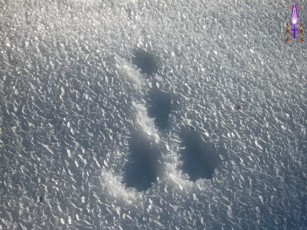 Croix de Lumière, Photo de la Série N No 62 