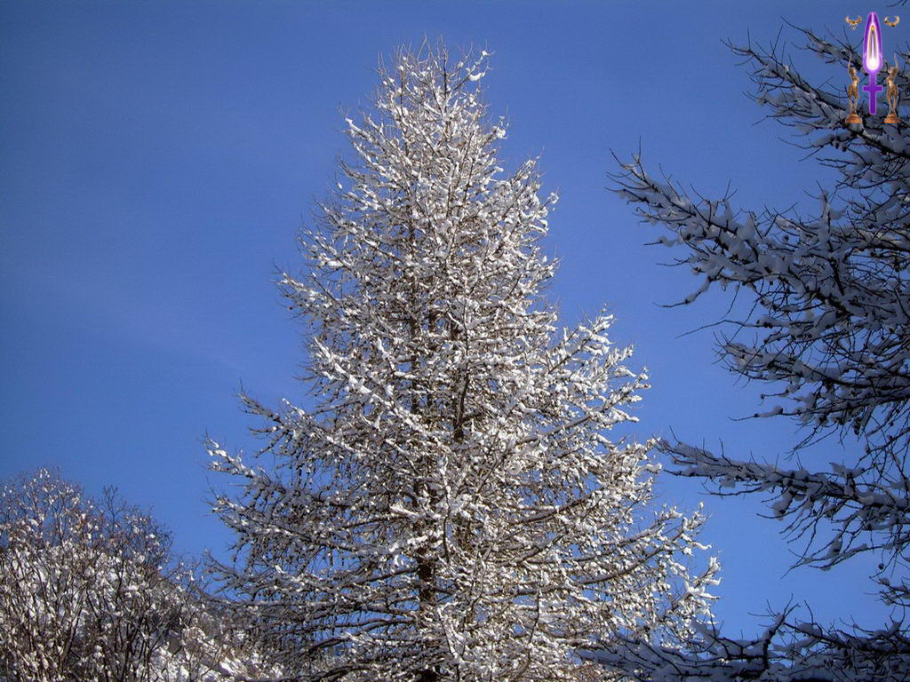 Croix de Lumière, Photo de la Série N No 66 