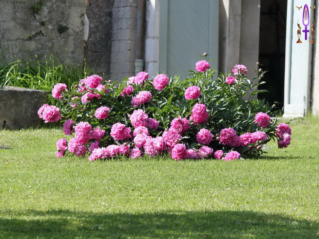 Croix de Lumière, Photo de la Série N No 67 