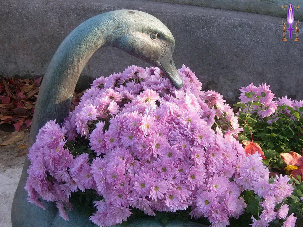 Croix de Lumière, Photo de la Série N No 69 