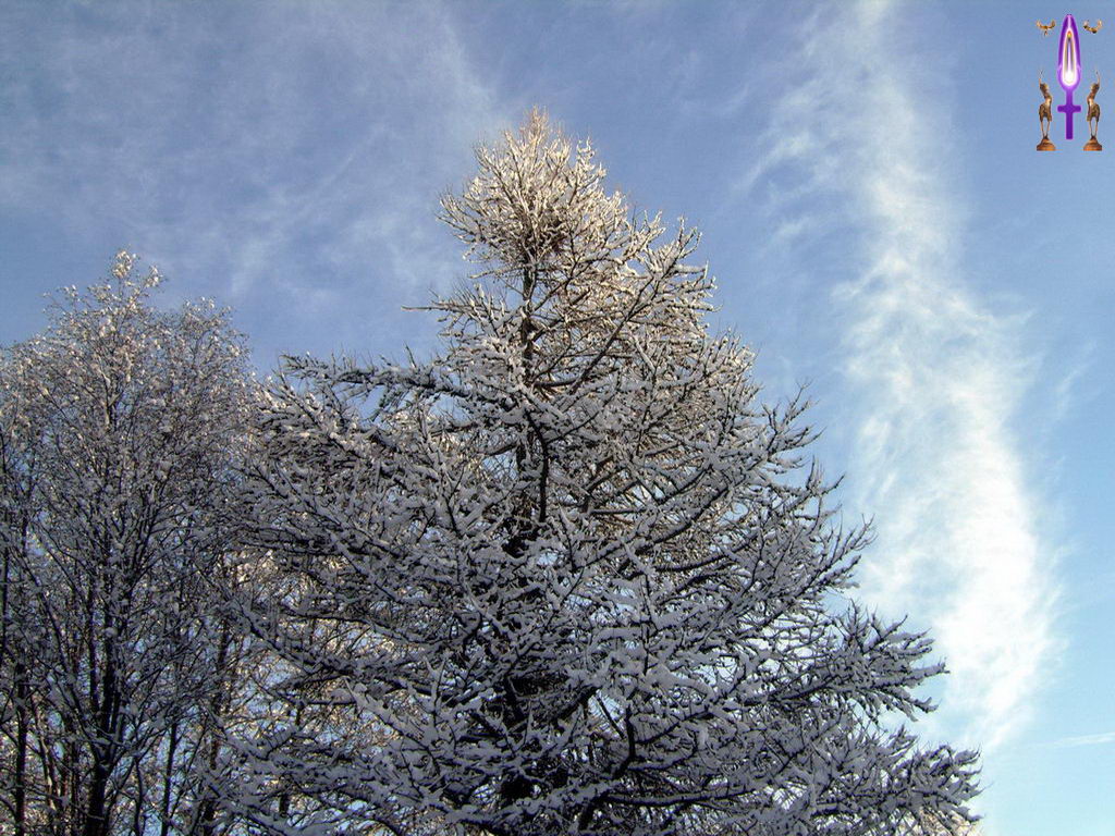 Croix de Lumière, Photo de la Série N No 71 