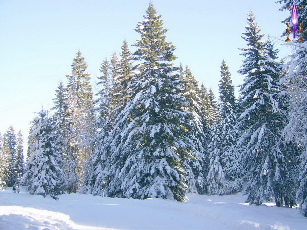 Croix de Lumière, Photo de la Série N No 82 
