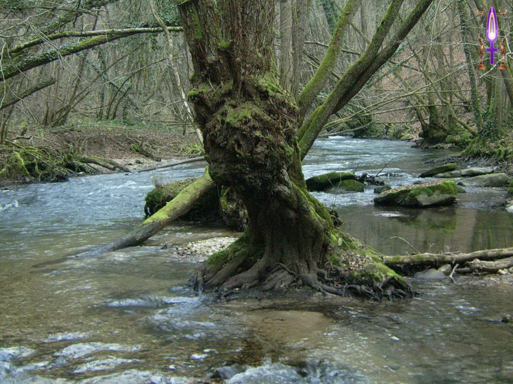 Croix de Lumière, Photo de la Série N No 85 