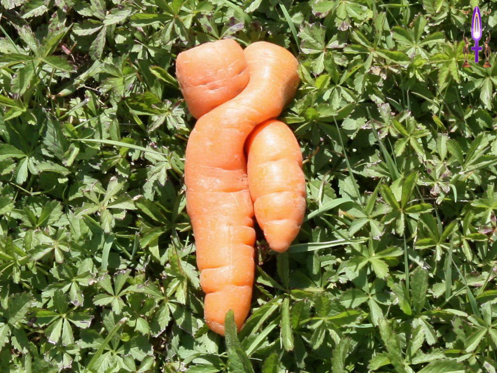 Croix de Lumière, Photo de la Série N No 86 