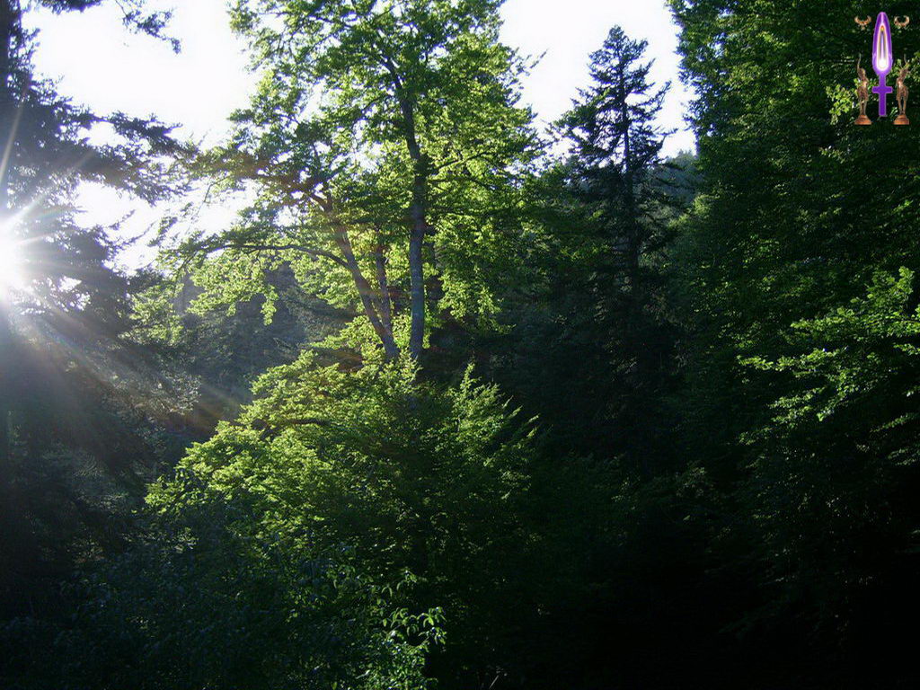 Croix de Lumière, Photo de la Série N No 88 