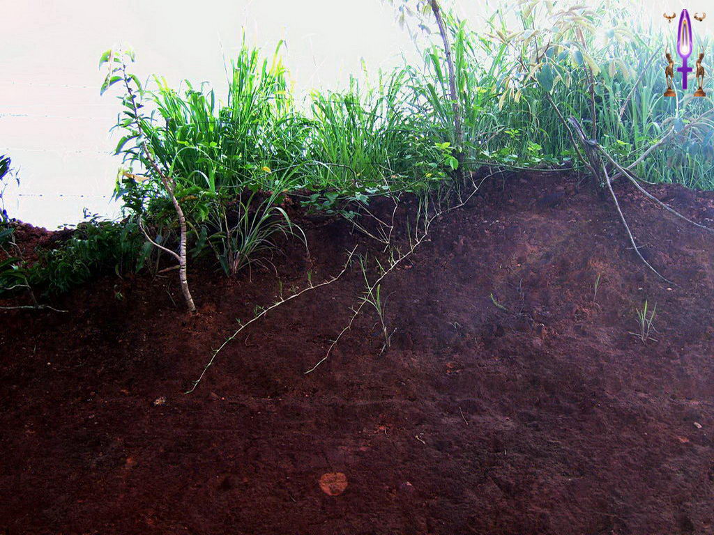 Croix de Lumière, Photo de la Série N No 91 