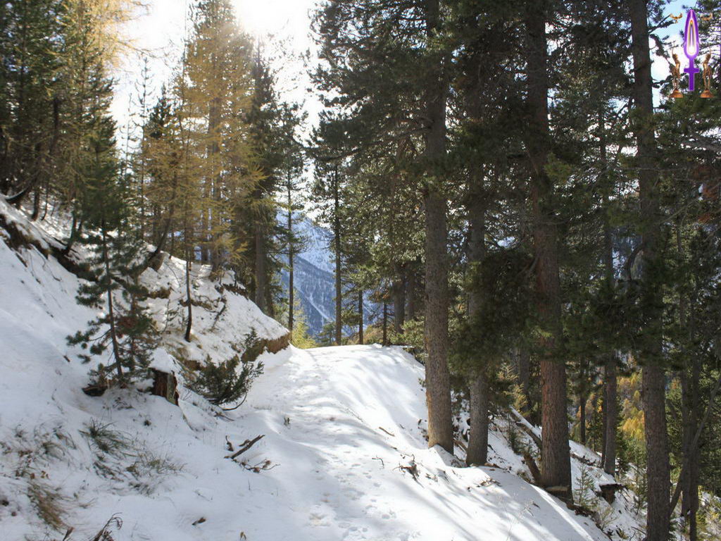 Croix de Lumière, Photo de la Série N No 92 