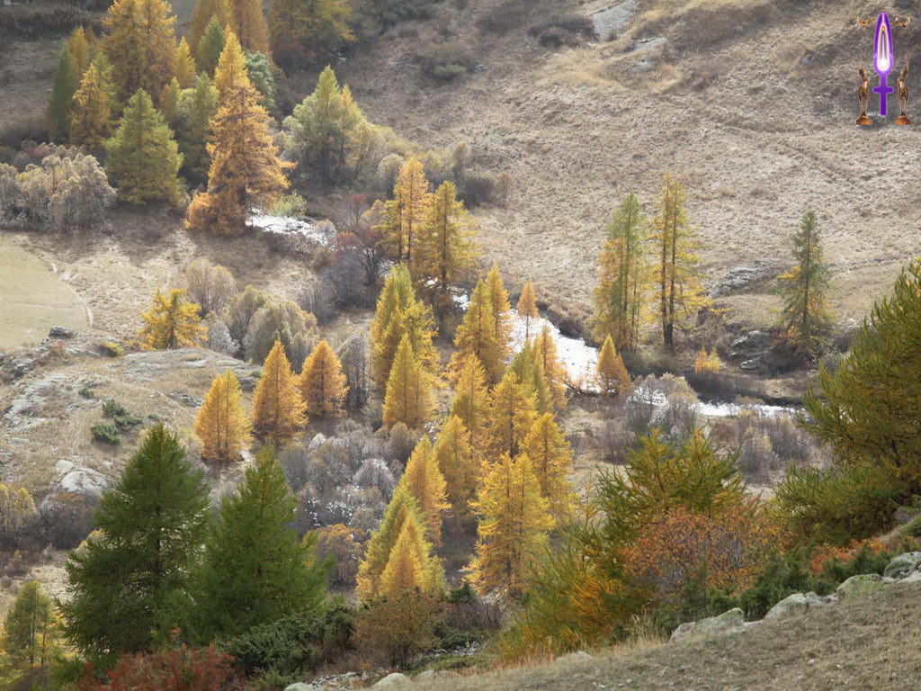 Cliquez sur la Photo pour quitter le Diaporama et Ouvrir la Photo correspondante...