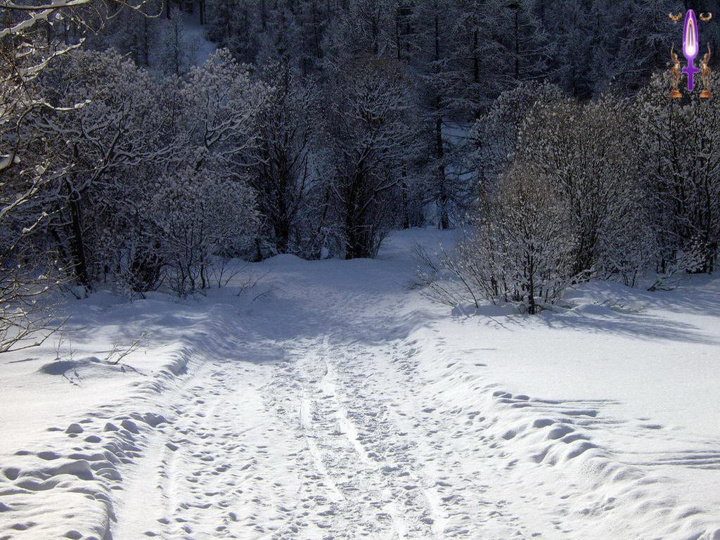 Croix de Lumière, Photo de la Série N No 106 