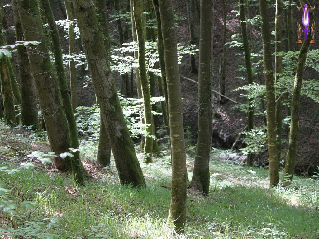 Croix de Lumière, Photo de la Série N No 108 
