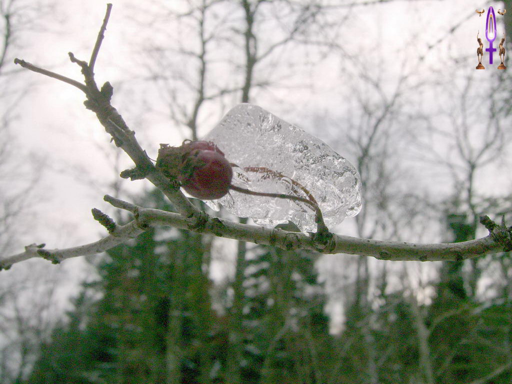 Croix de Lumière, Photo de la Série O No 6 