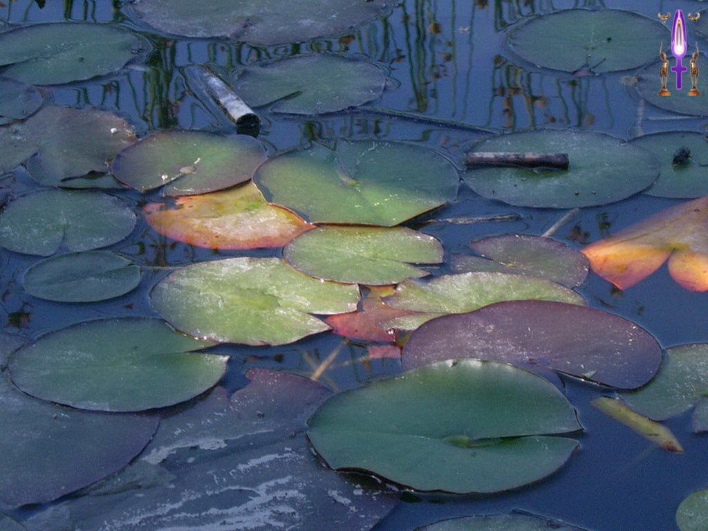 Croix de Lumière, Photo de la Série O No 15 