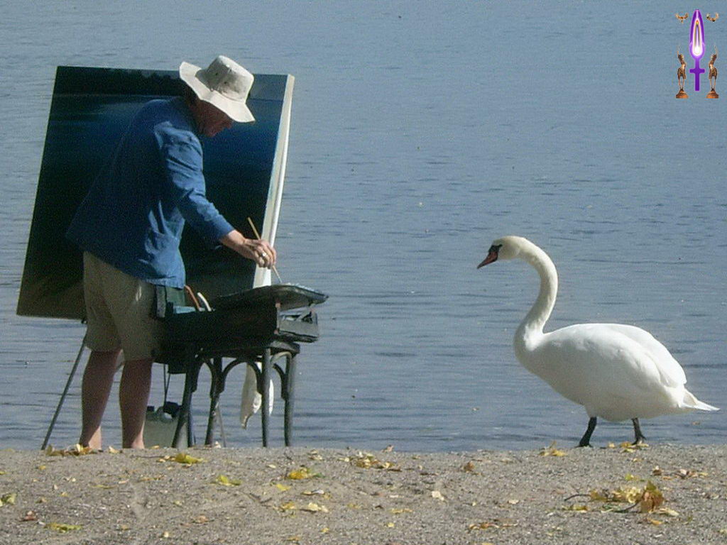 Croix de Lumière, Photo de la Série O No 17 