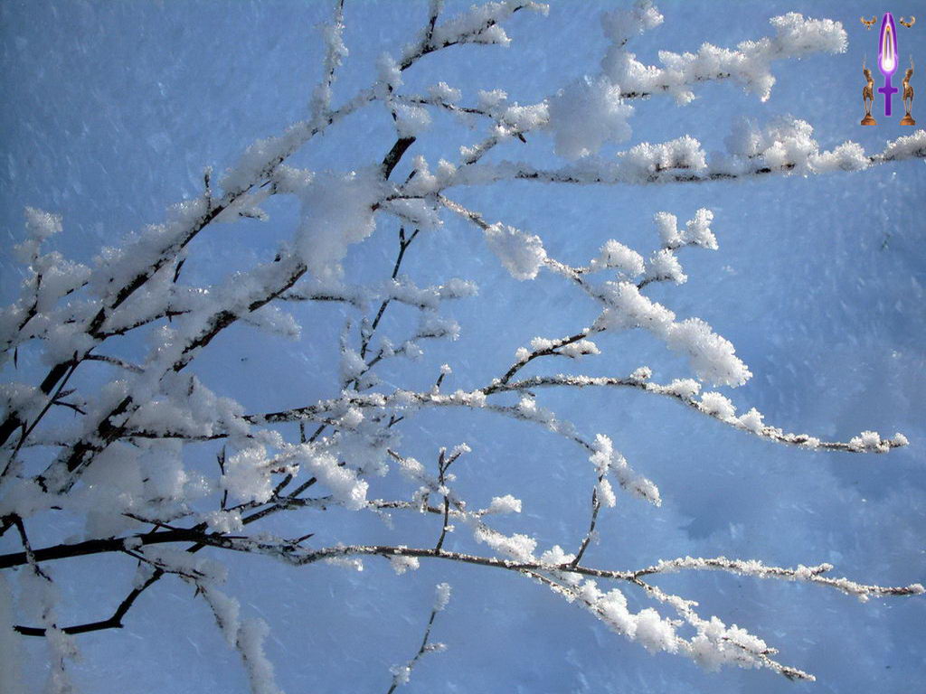 Croix de Lumière, Photo de la Série O No 18 