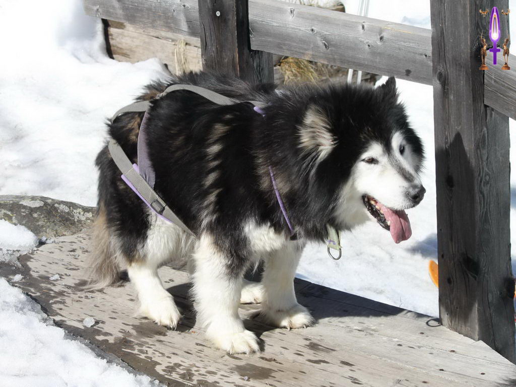 Croix de Lumière, Photo de la Série O No 42 