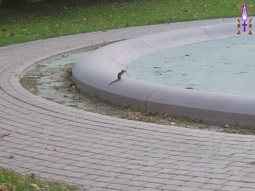 Croix de Lumière, Photo de la Série O No 47 