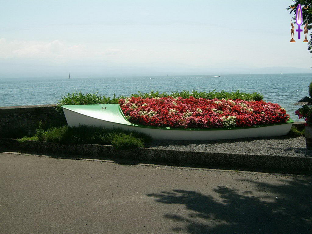 Croix de Lumière, Photo de la Série O No 83 