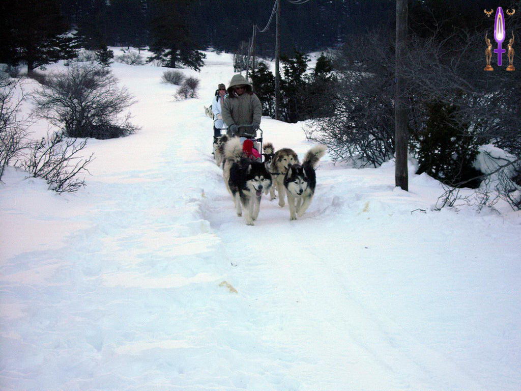 Croix de Lumière, Photo de la Série O No 92 