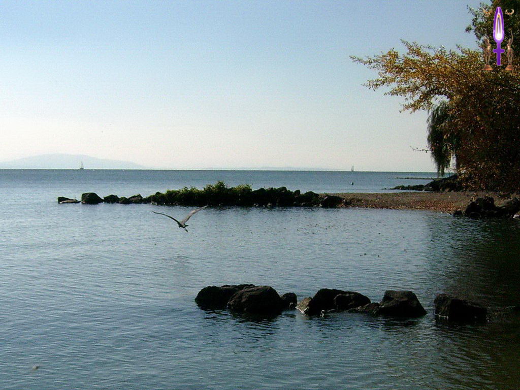 Croix de Lumière, Photo de la Série O No 106 